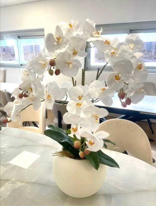 Orchidee Artificielle