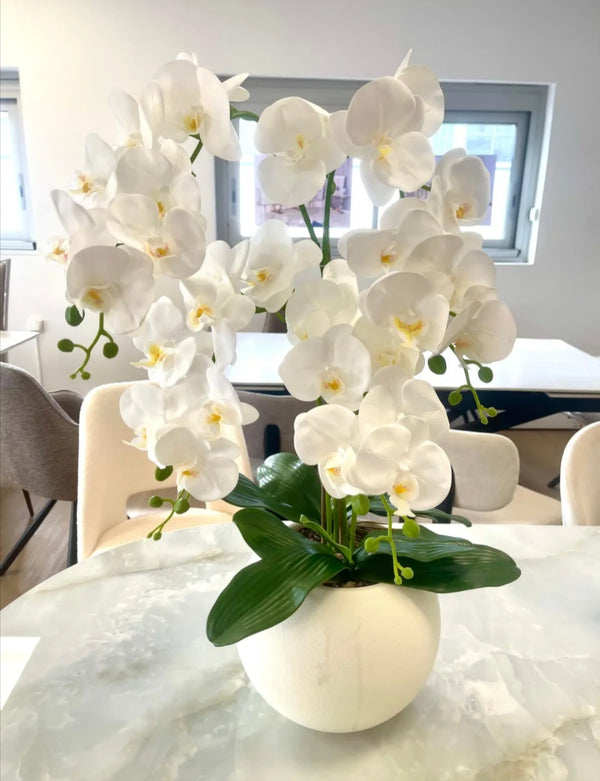 Orchidee Artificielle